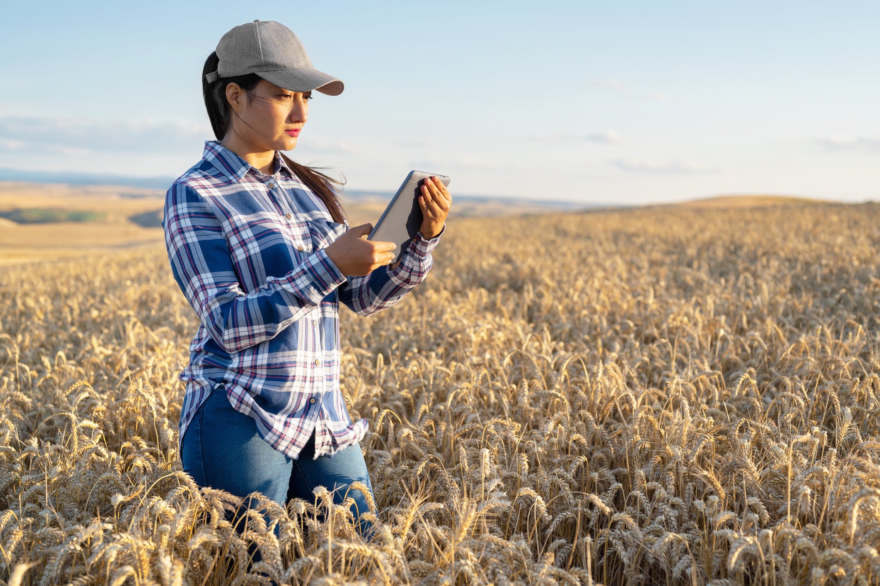 Female Farmer Using Digital Tablet on Farm Field